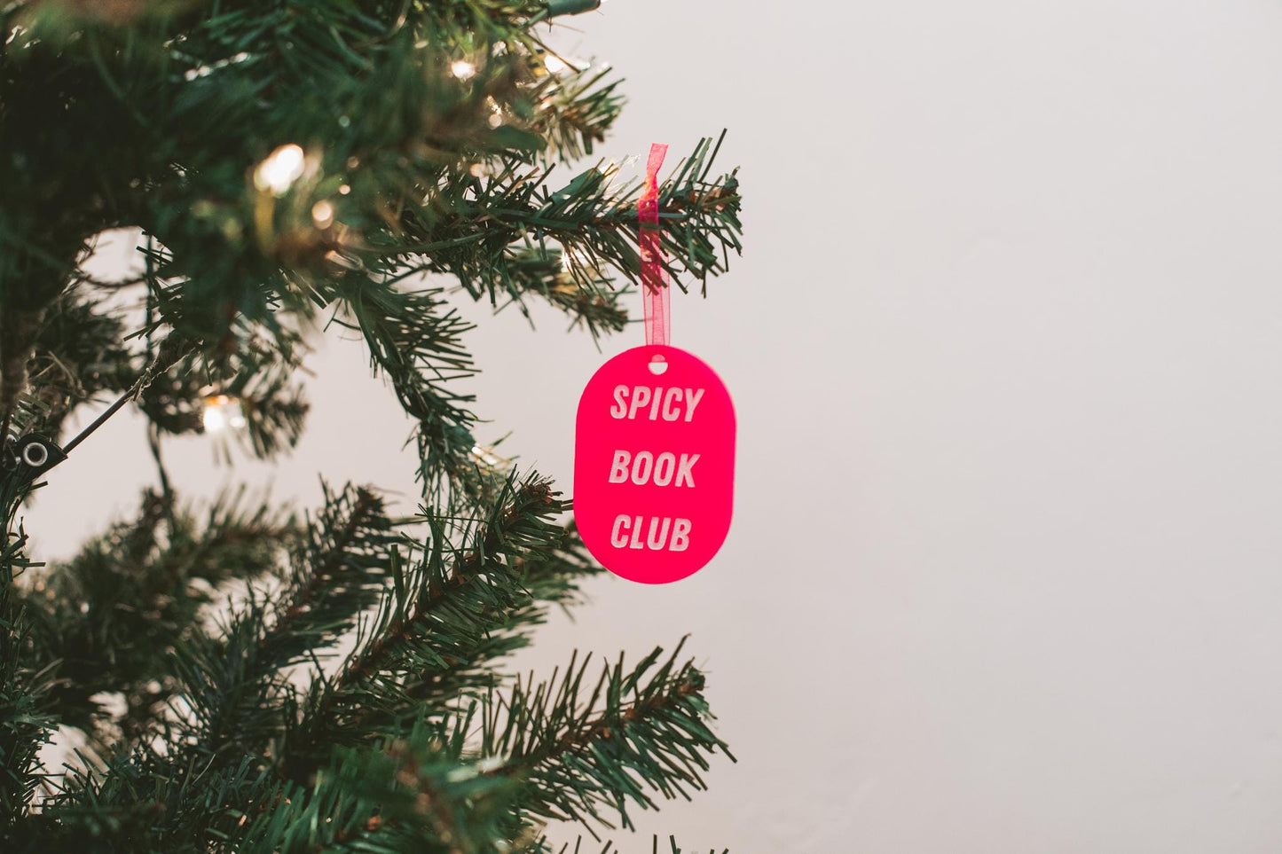 Spicy Book Club Wooden & Acrylic Bookish Ornaments Bundle