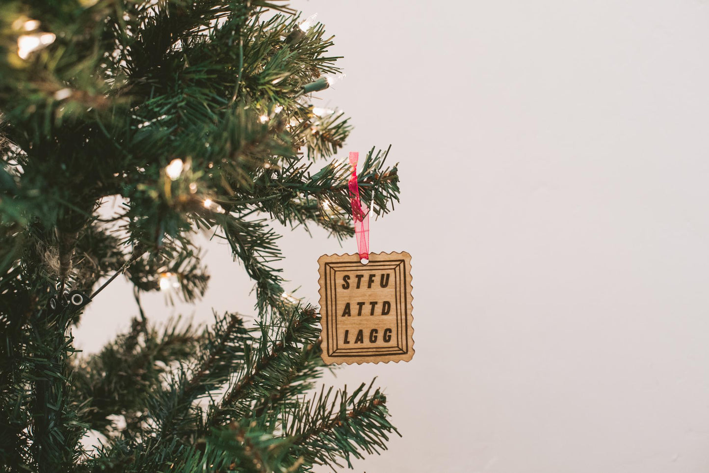 Spicy Book Club Wooden & Acrylic Bookish Ornaments Bundle