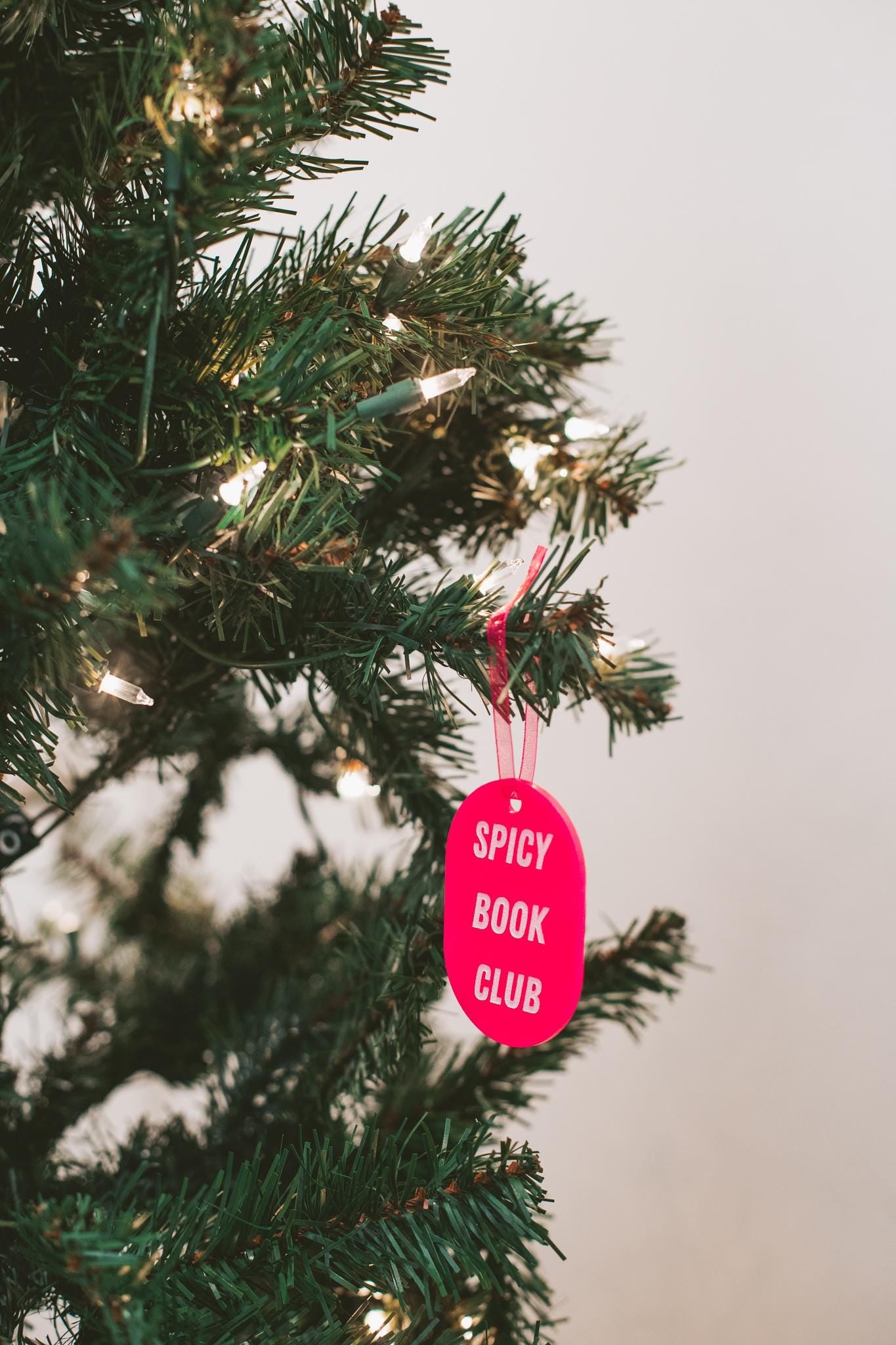 Spicy Book Club Wooden & Acrylic Bookish Ornaments Bundle