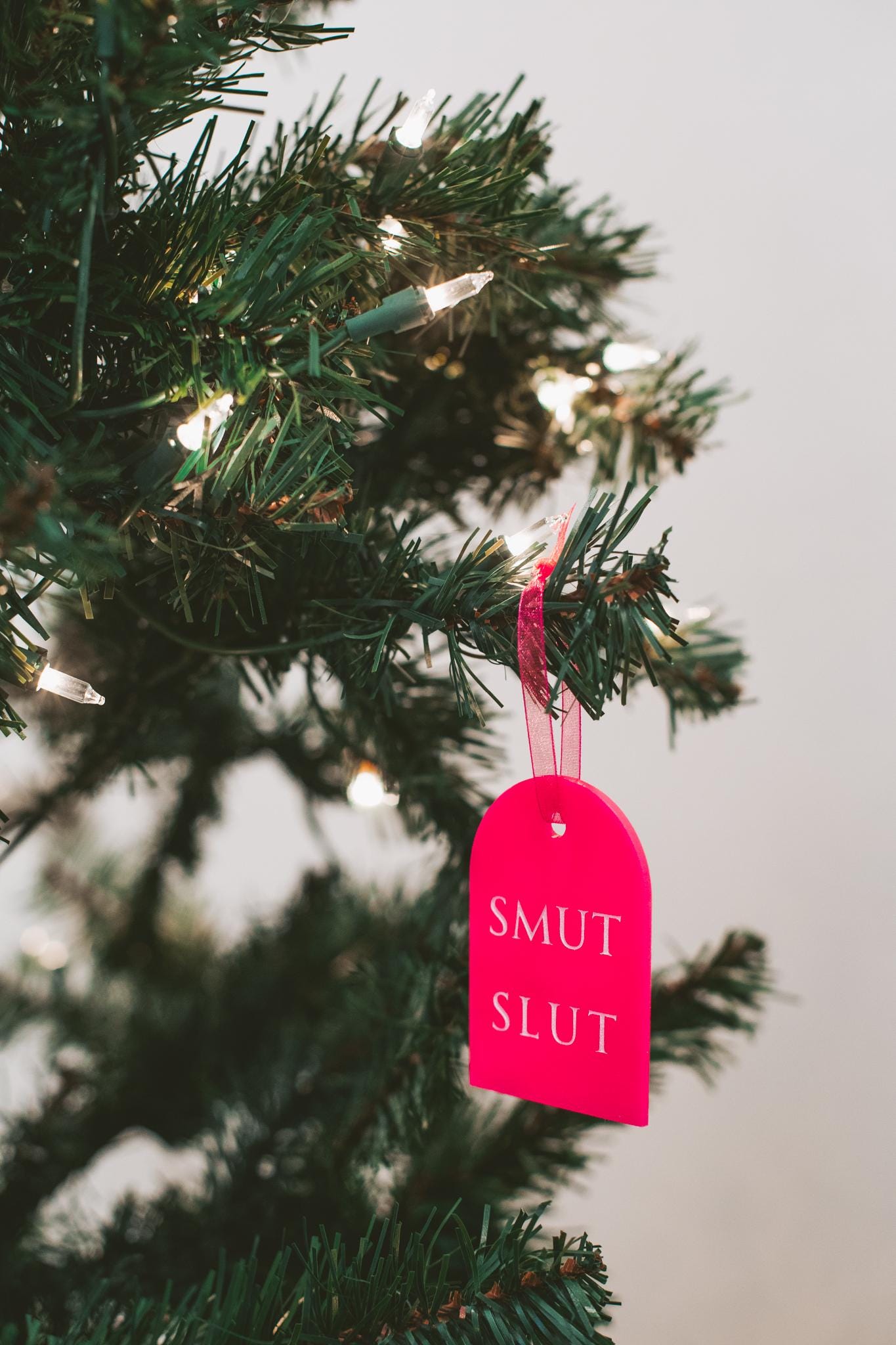 Spicy Book Club Wooden & Acrylic Bookish Ornaments Bundle