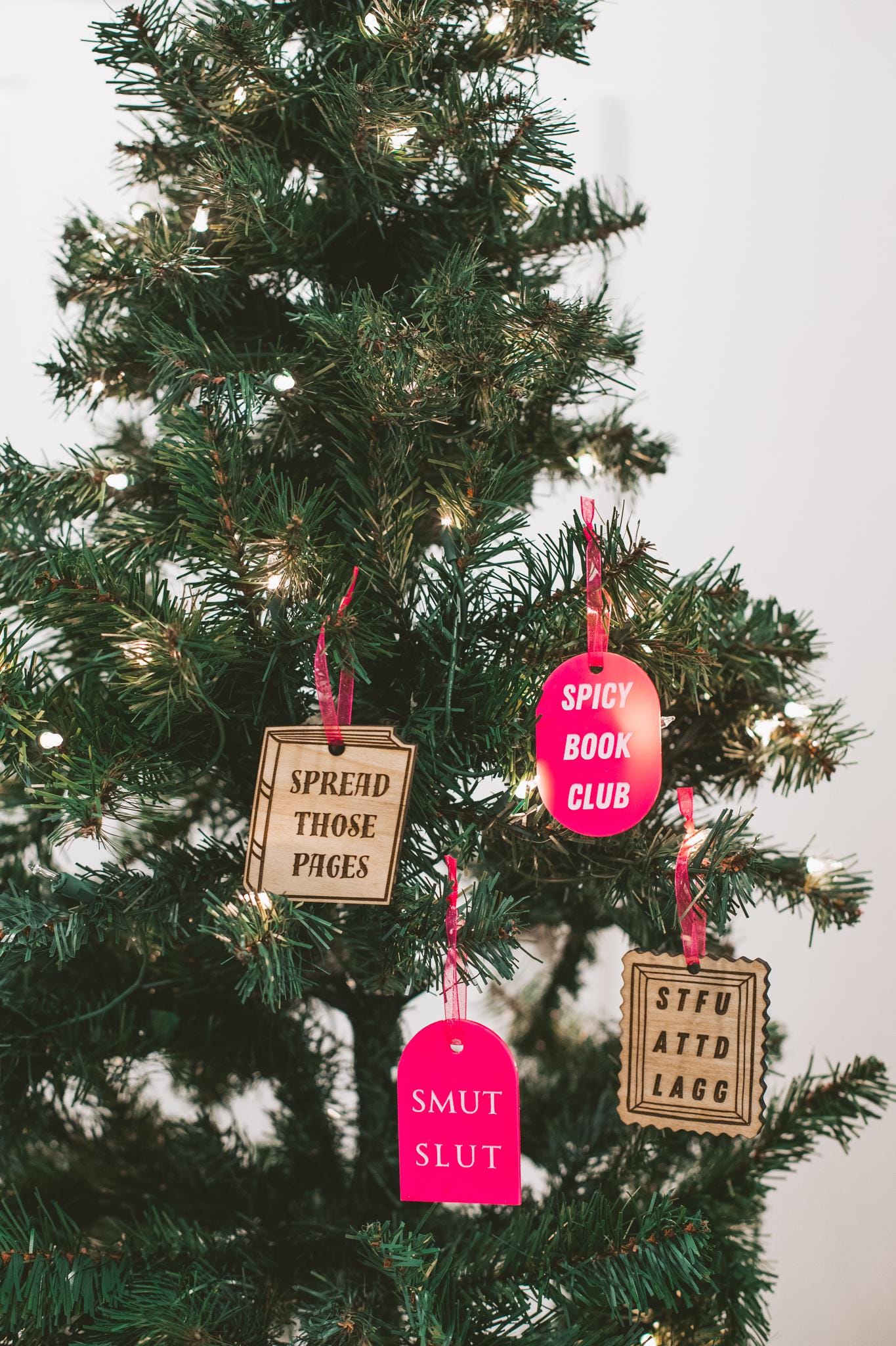 Spicy Book Club Wooden & Acrylic Bookish Ornaments Bundle