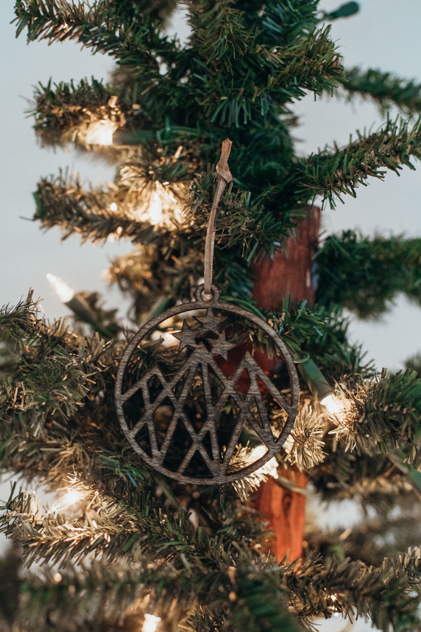 ACOTAR, Throne of Glass (TOG), Crescent City OG Wooden Ornaments 3 Pack