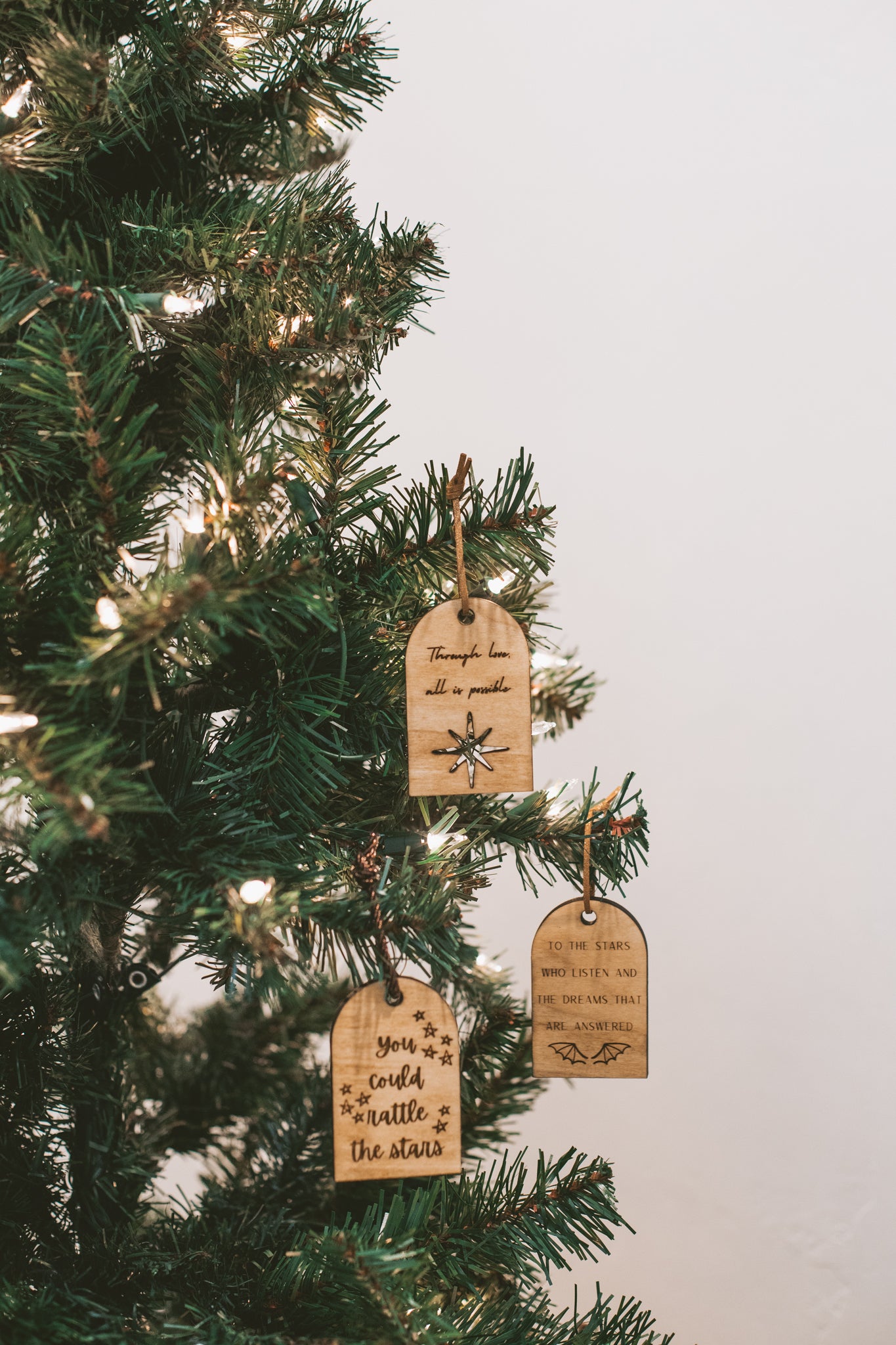 Crescent City, ACOTAR, Throne of Glass (TOG) Doorway Wooden Ornaments 3 Pack